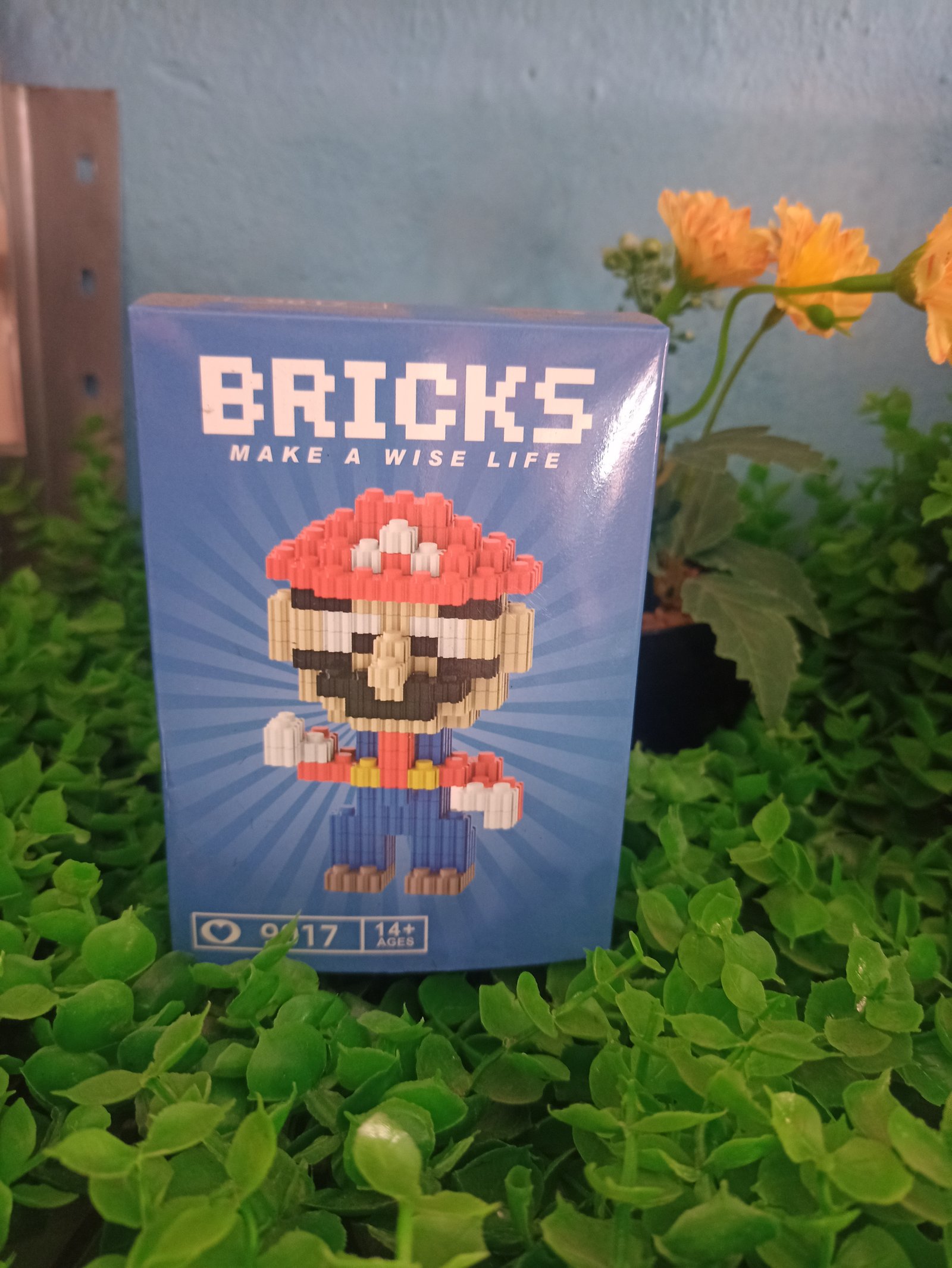 Lego Mario Bros