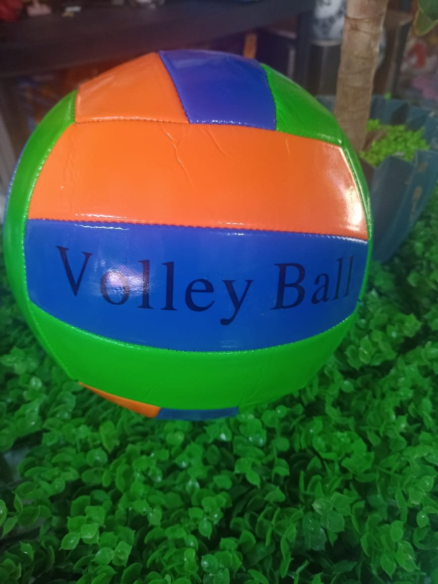 Balón de voleibol