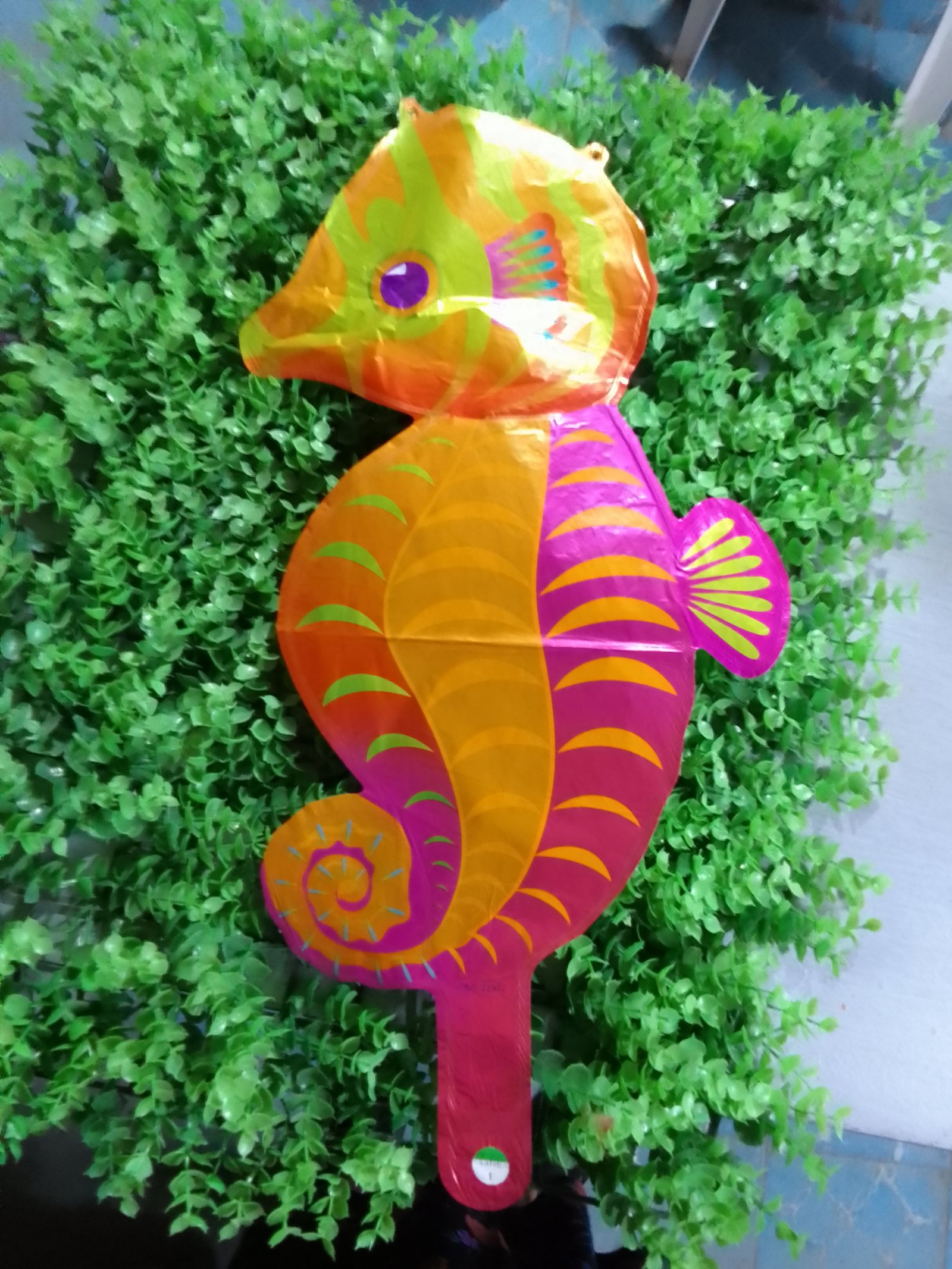 Globo caballito de mar