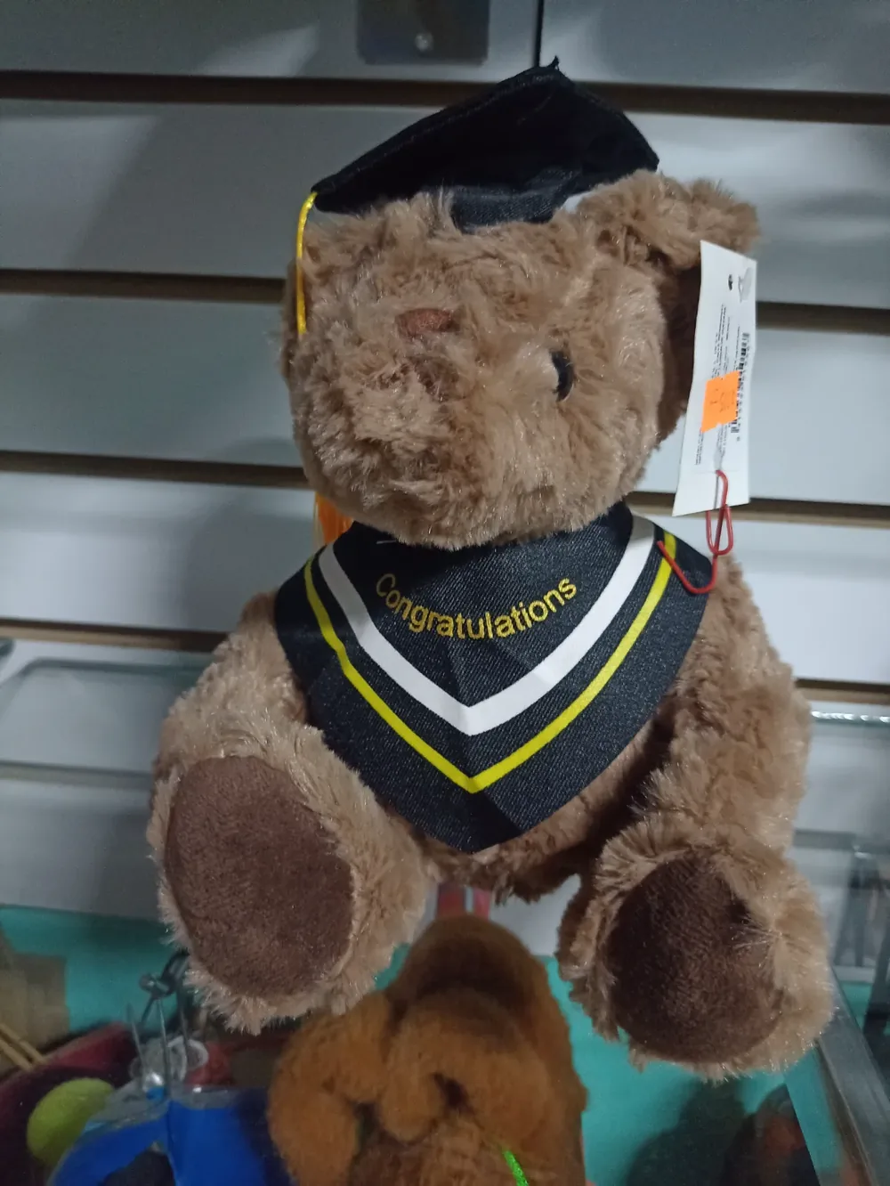 Osito graduación