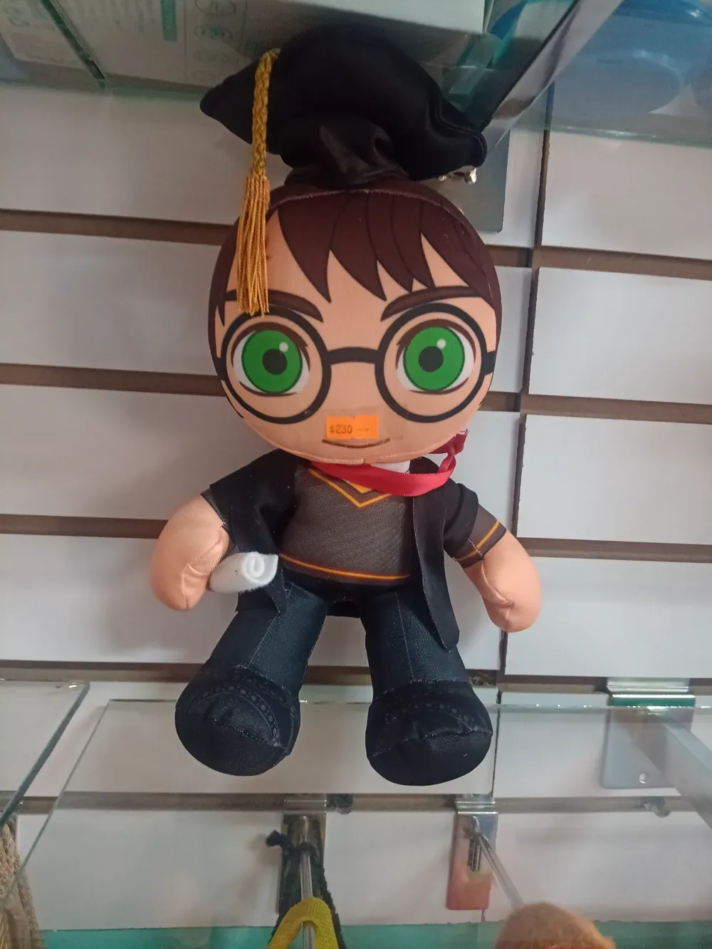 Niño graduación