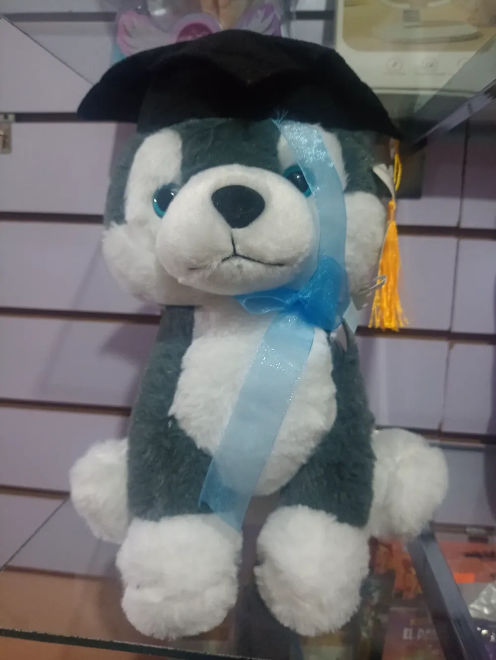 Perrito de graduación